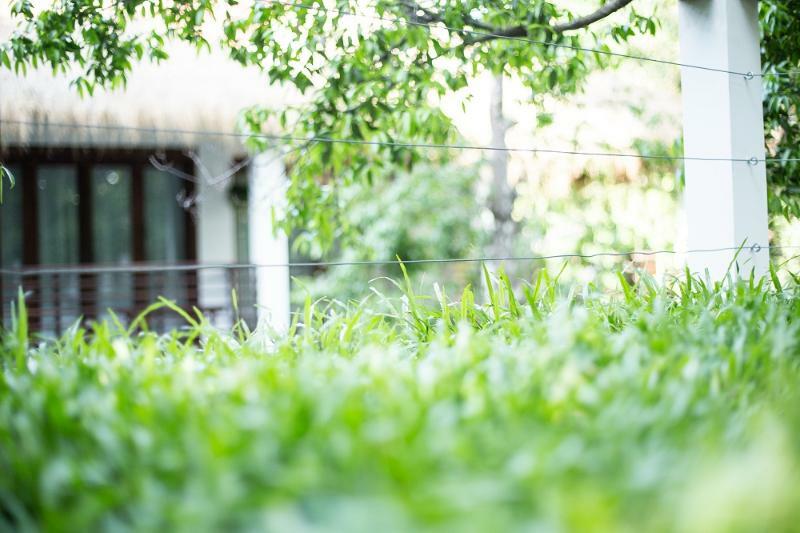 Rokkhak River Resort Siem Reap Exterior foto